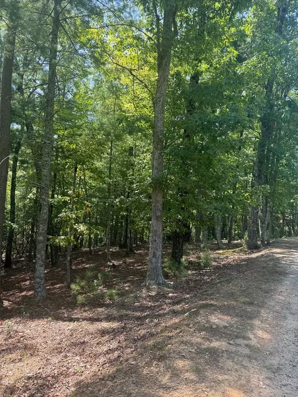 Murphy, NC 28906,Lot 47 Point Overlook Trail