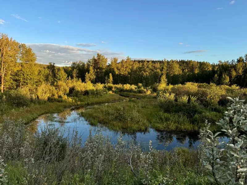 Hwy 22, Rural Foothills County, AB T1S5E1