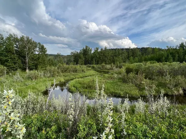 Rural Foothills County, AB T1S5E1,Hwy 22