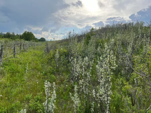 Rural Foothills County, AB T1S5E1,Hwy 22