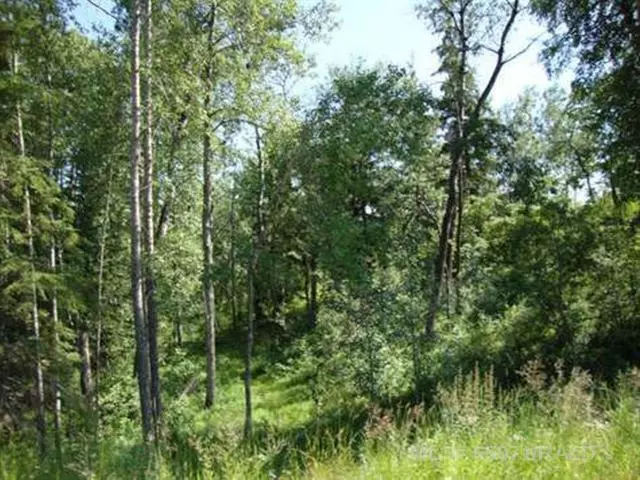 Lot 4 Blk 5 LAKESIDE DR, Perch Lake, SK S0M 2G0