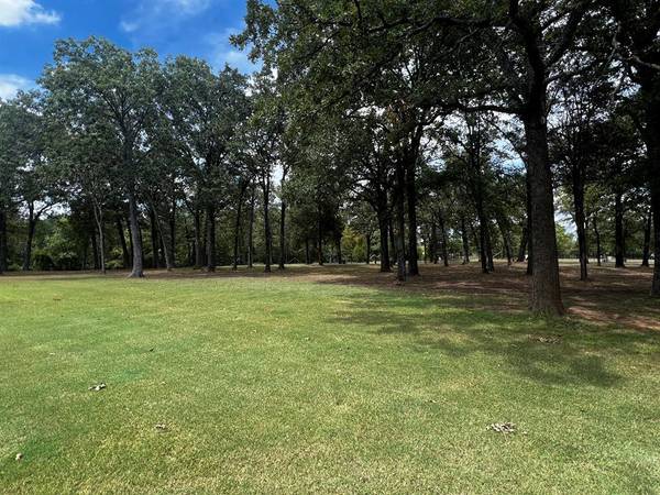 285 Hide-A-Way Drive, Mabank, TX 75156