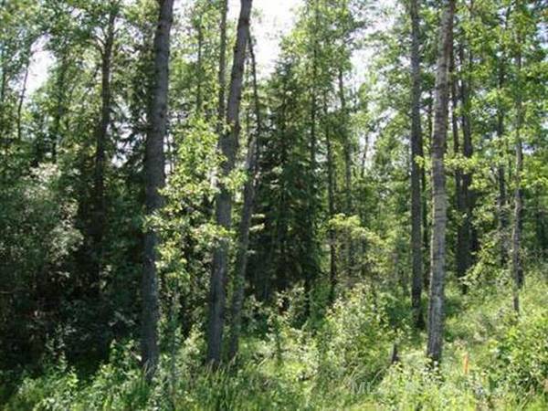 Perch Lake, SK S0M 2G0,Lot 3 Blk 5 LAKESIDE DR