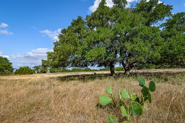 21 -- Legacy Oaks Dr, Harper, TX 78631