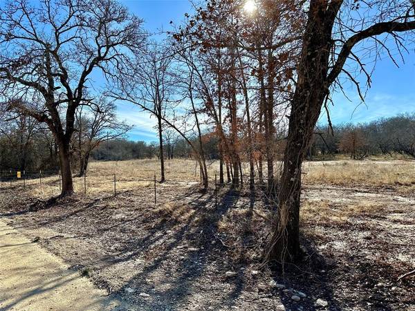 TBD County Road 190, De Leon, TX 76444