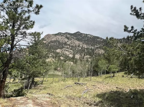 338 Topaz RD, Lake George, CO 80827