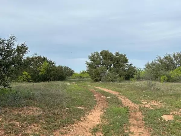 Brookesmith, TX 76801,TBD County Road 225