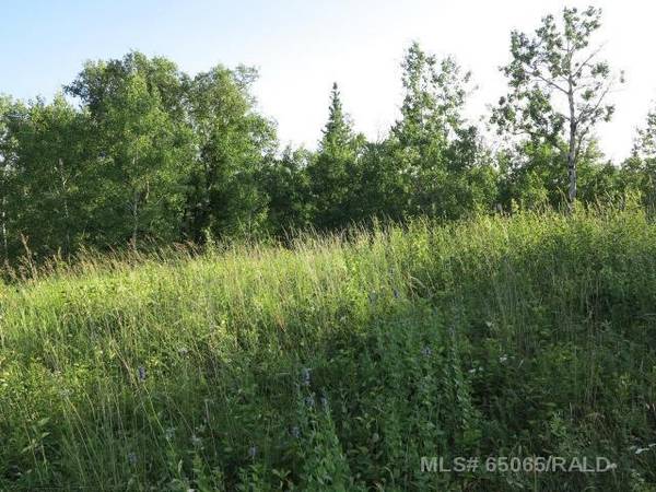 Perch Lake, SK S0M 2G0,Lot 12 Blk 1 LAKESIDE DR