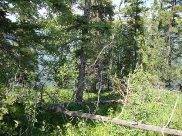 Perch Lake, SK S0M 2G0,Lot 12 Blk 1 LAKESIDE DR