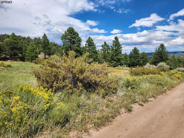 Westcliffe, CO 81252,15 Arroyo Avenue