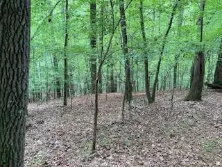 Lot 3214 Holly Way, Ellijay, GA 30540