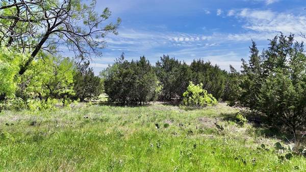 Ranger, TX 76470,TBD County Road 459