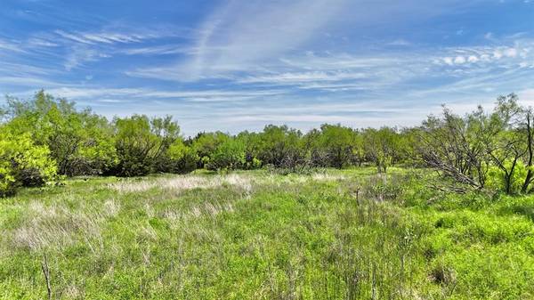 Ranger, TX 76470,TBD County Road 459