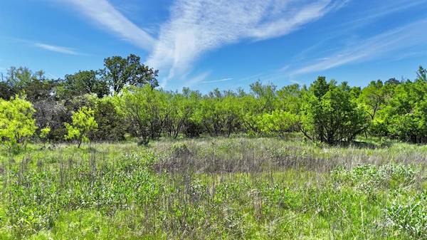 Ranger, TX 76470,TBD County Road 459