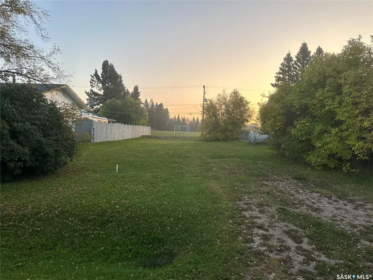 Big River, SK S0J 0E0,117 6th AVENUE N