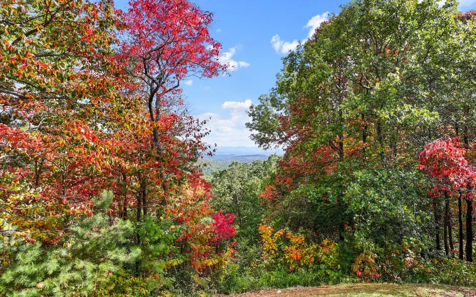 0 Osceola Dr - Lot #18, Ellijay, GA 30540