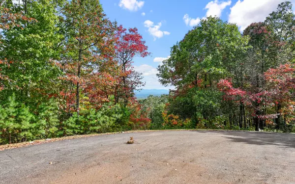 Ellijay, GA 30540,0 Osceola Dr - Lot #18