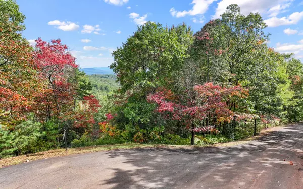 Ellijay, GA 30540,0 Osceola Dr - Lot #18