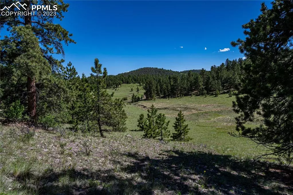 Guffey, CO 80820,2099 Julia RD