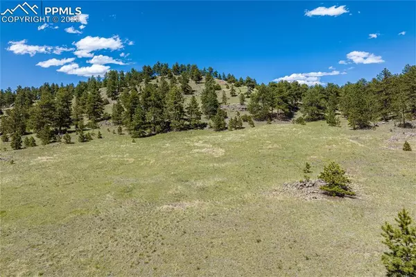 Guffey, CO 80820,2099 Julia RD