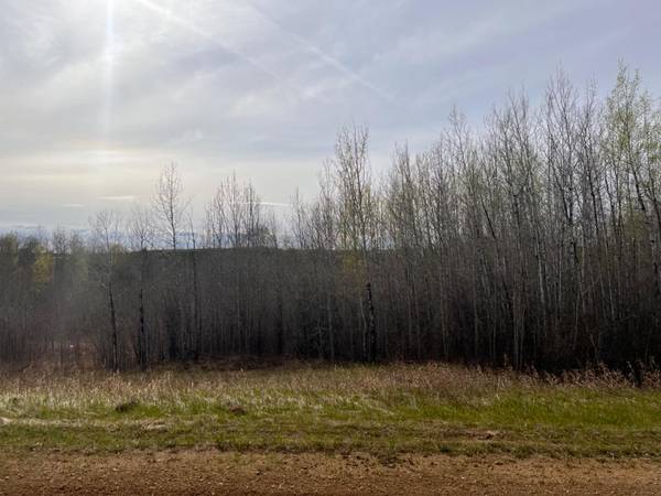 Athabasca, AB T9S 1C4,Lot #7 Survey RD