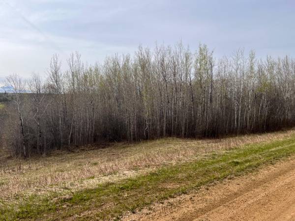 Athabasca, AB T9S 1C4,Lot #7 Survey RD