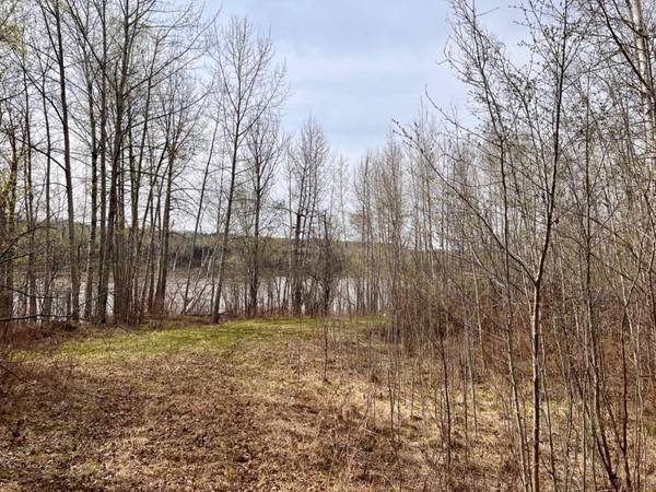 Athabasca, AB T9S 1C4,Lot #7 Survey RD