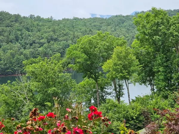 Murphy, NC 28906,Lot 12 Wilderness Lake Circle