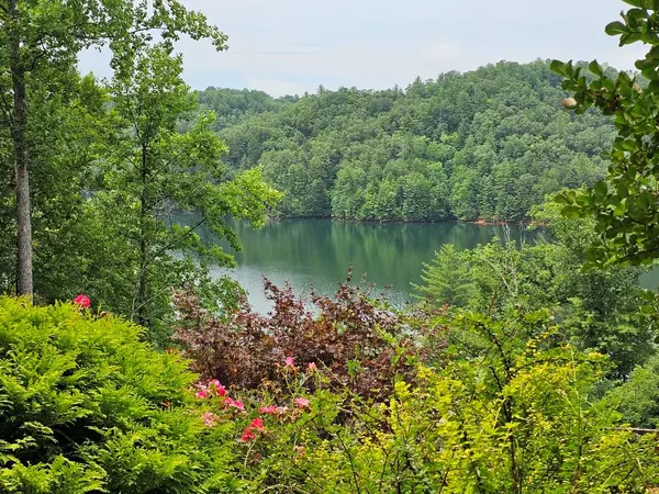 Murphy, NC 28906,Lot 12 Wilderness Lake Circle