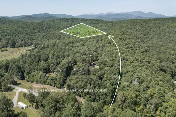 Blue Ridge, GA 30513,10 Ac Doublehead Gap Road