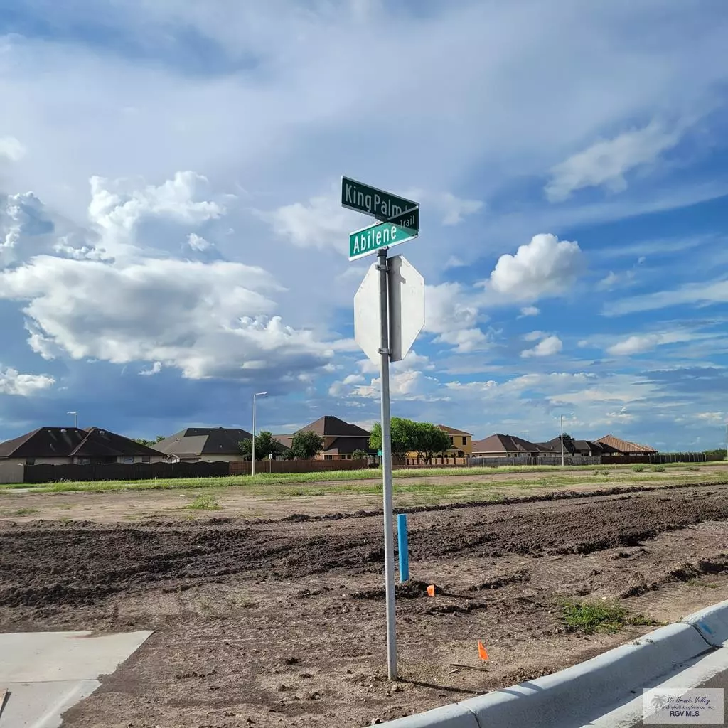 Brownsville, TX 78526,LOT 5 WINDMILL PALM CT