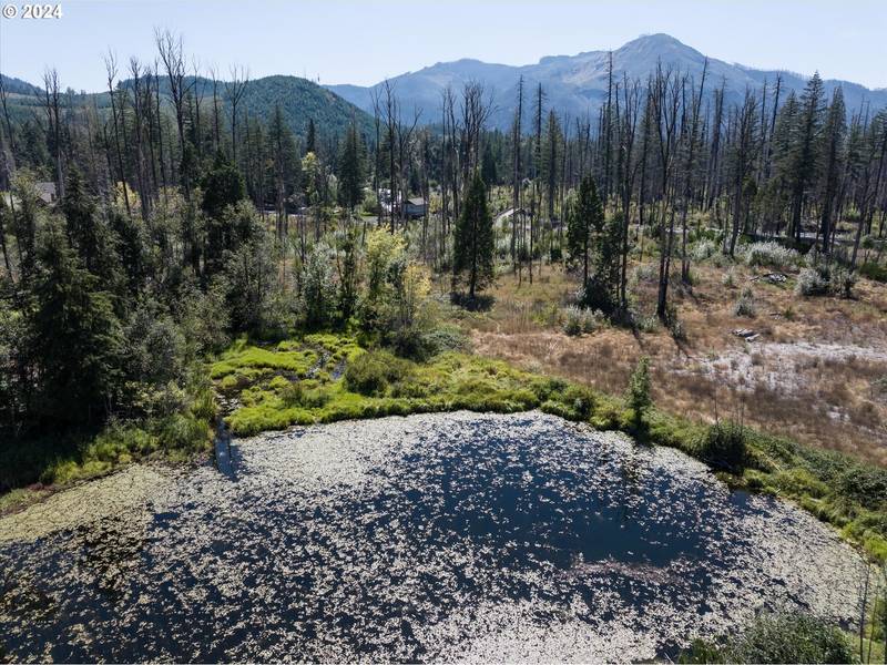 McKenzie HWY, Blue River, OR 97413