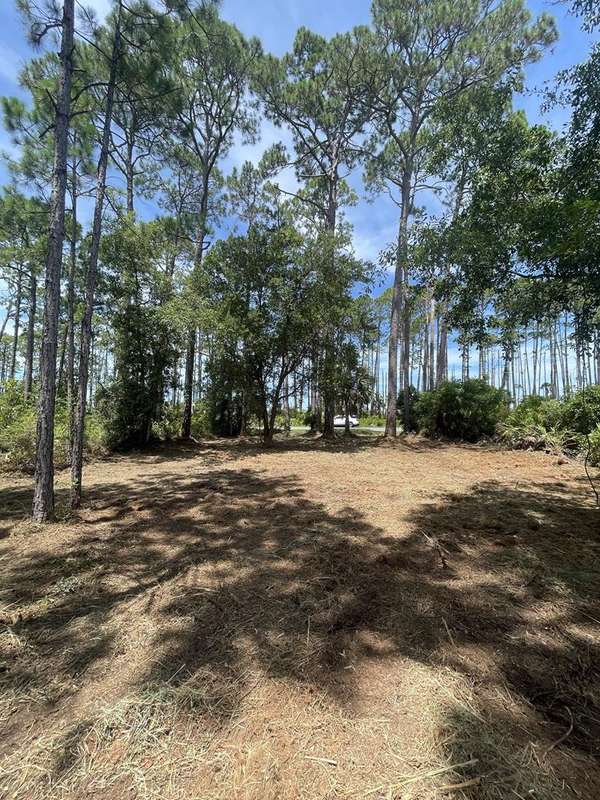 Lot 9 SR 30-A, Cape San Blas, FL 32456