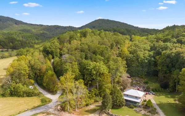 Mineral Bluff, GA 30559,1.34 Laurel Springs Road