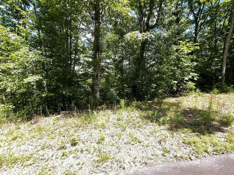 Lot 16 Big Cove Drive, Hiawassee, GA 30546