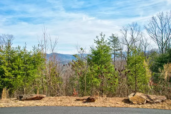 Ellijay, GA 30536,Lot 29 Greystone Trace