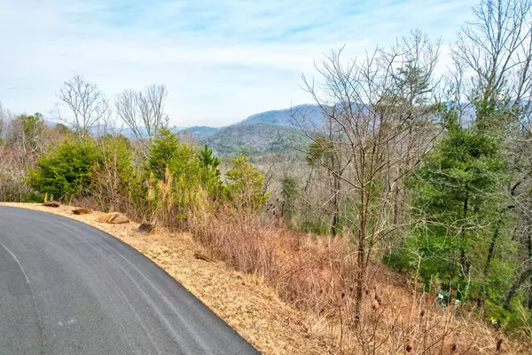 Ellijay, GA 30536,Lot 29 Greystone Trace