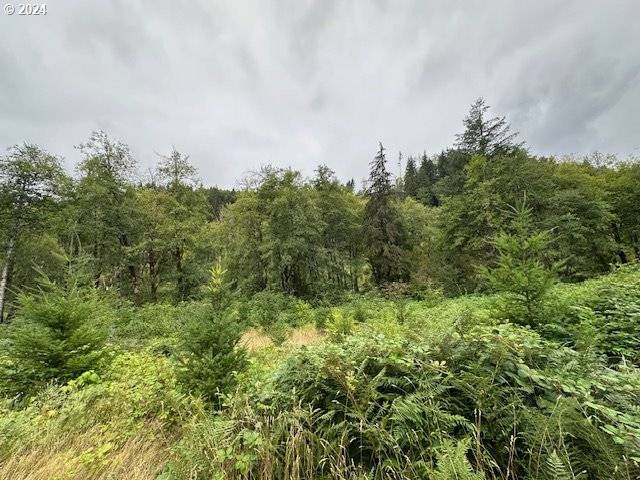 3 N Dubois RD, Ariel, WA 98603