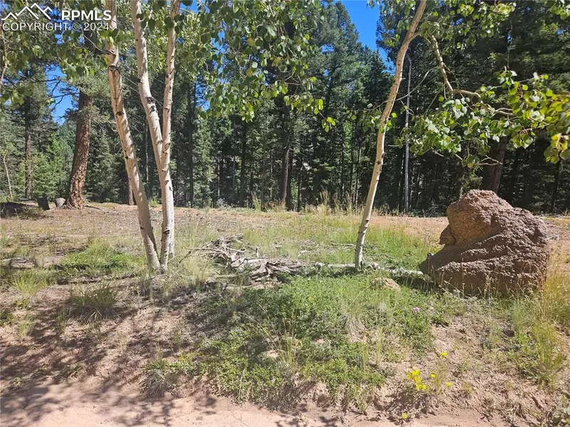 2725 N Mountain Estates RD, Florissant, CO 80816