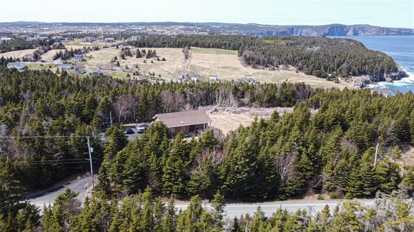 Logy Bay - Middle Cove - Outer Cove, NL A1B3K3,20 Old Pine Line