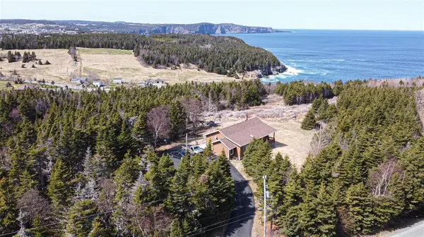 Logy Bay - Middle Cove - Outer Cove, NL A1B3K3,20 Old Pine Line