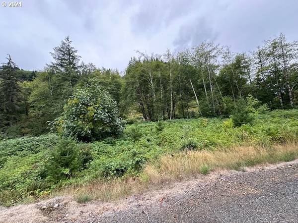 Ariel, WA 98603,1 N Dubois RD