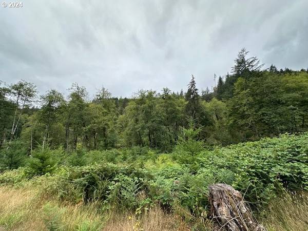 Ariel, WA 98603,1 N Dubois RD