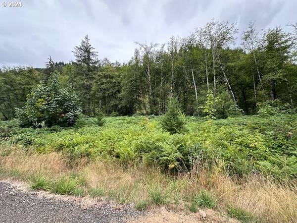 Ariel, WA 98603,3 N Dubois RD