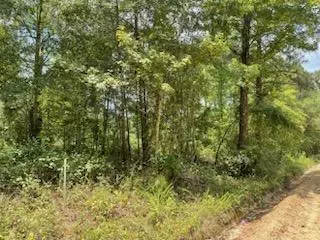 0 Gooch Rd (Lot F), Eastman, GA 31023