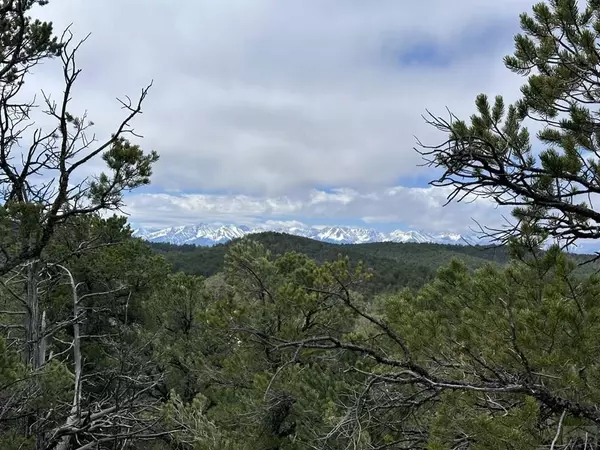 Cotopaxi, CO 81223,Lot 5 Holmes Rd