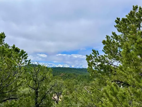 Cotopaxi, CO 81223,Lot 5 Holmes Rd