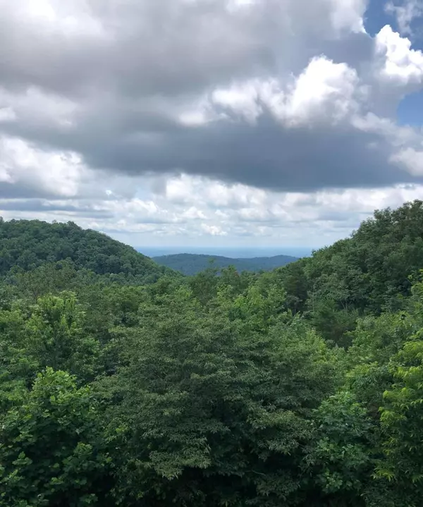 Ellijay, GA 30536,0 Lot 272 Andes Ridge