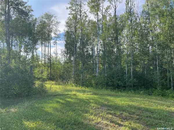 Delaronde Lake, SK S0J 0E0,9 Northwood CRESCENT