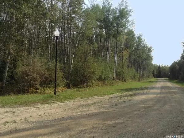 Delaronde Lake, SK S0J 0E0,5 Pelly STREET